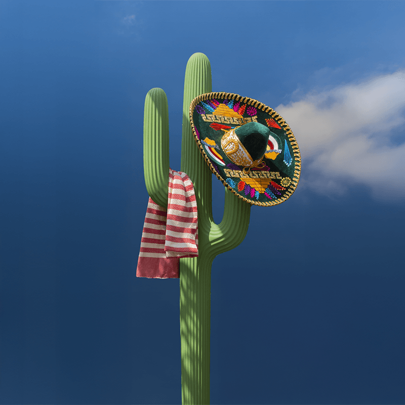 Saguaro Coat Rack Design by Stefano Giovannoni -QEEBOO